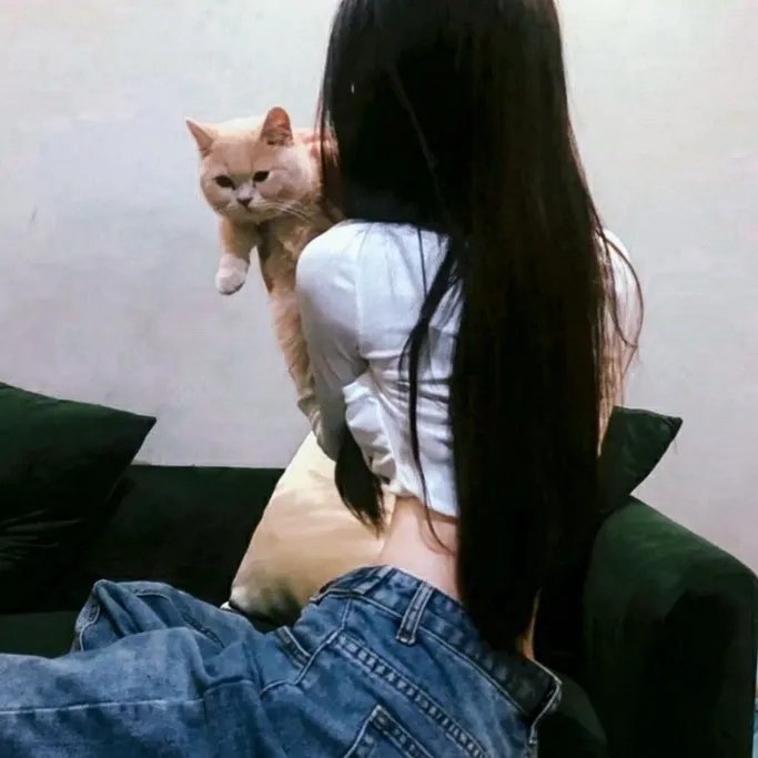 小迷糊的情泪